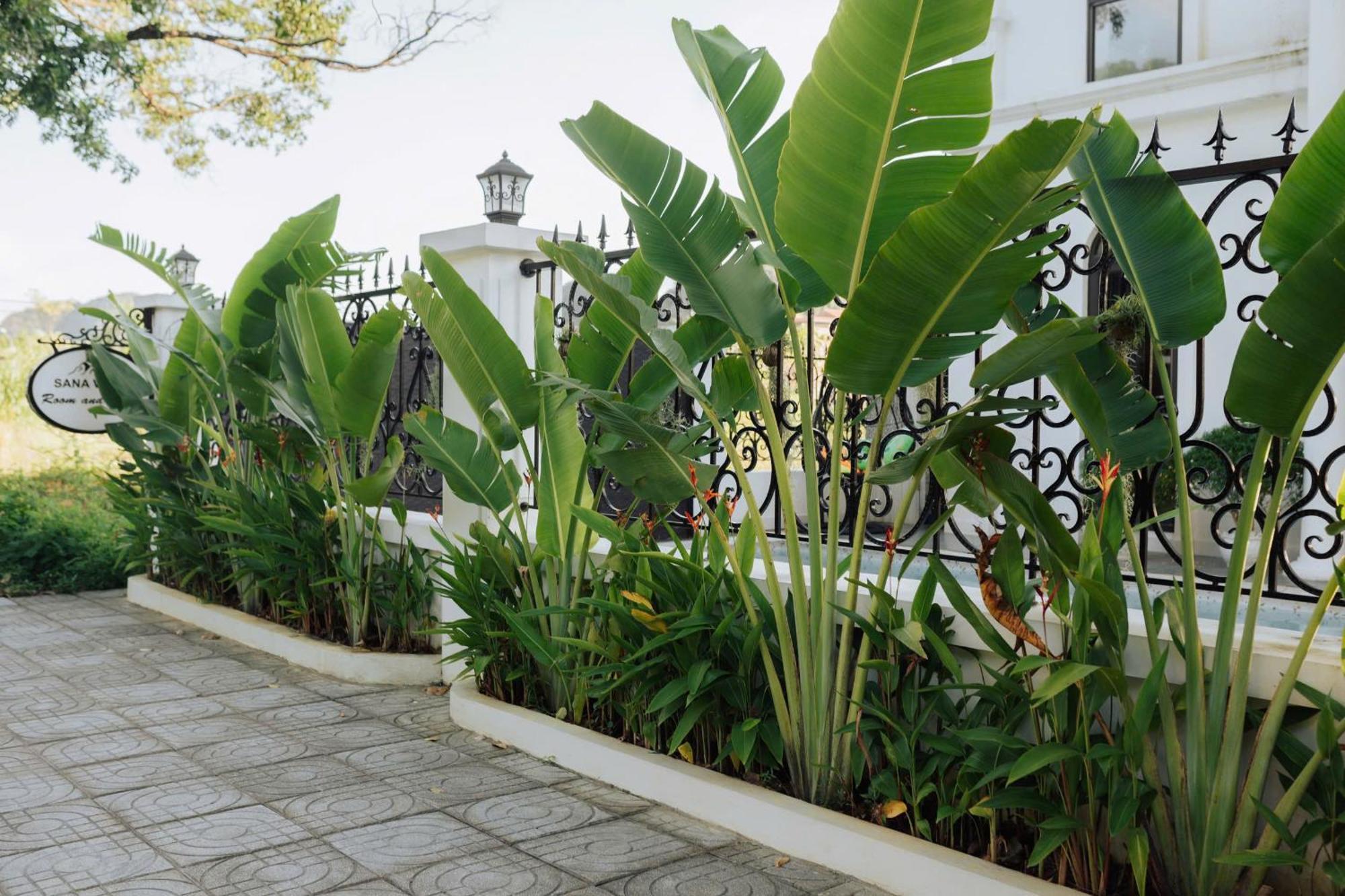 Tam Coc Sana Villa & Homestays Ninh Binh Exterior photo