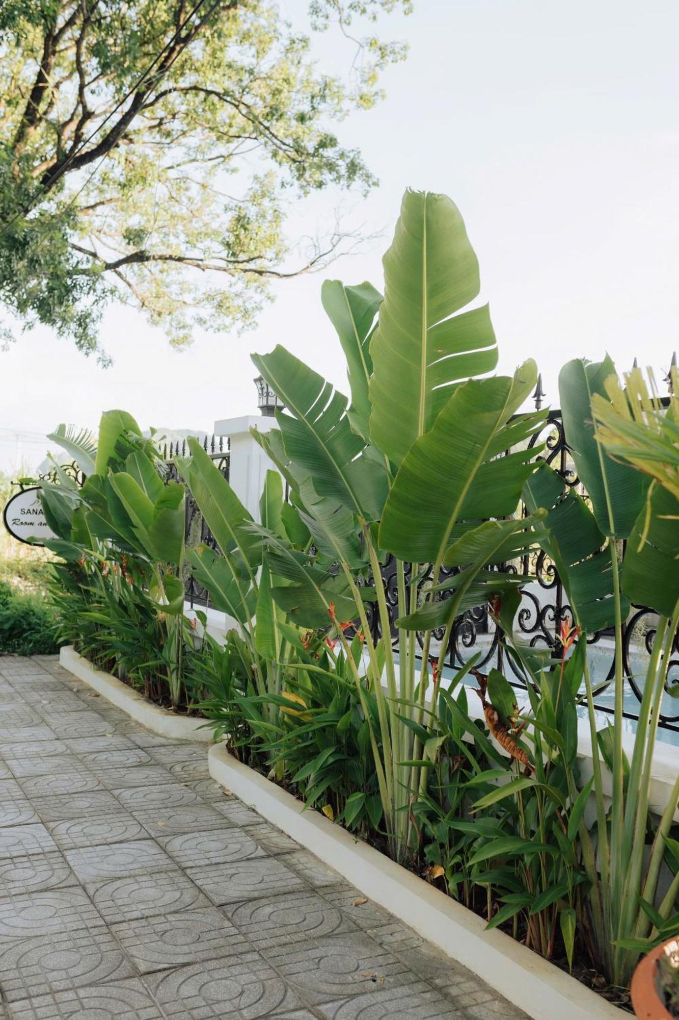 Tam Coc Sana Villa & Homestays Ninh Binh Exterior photo